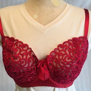 Victoria's Secret 34DD Unlined 1/2 Padding Push Up Cherry Red Lace Underwire Bra